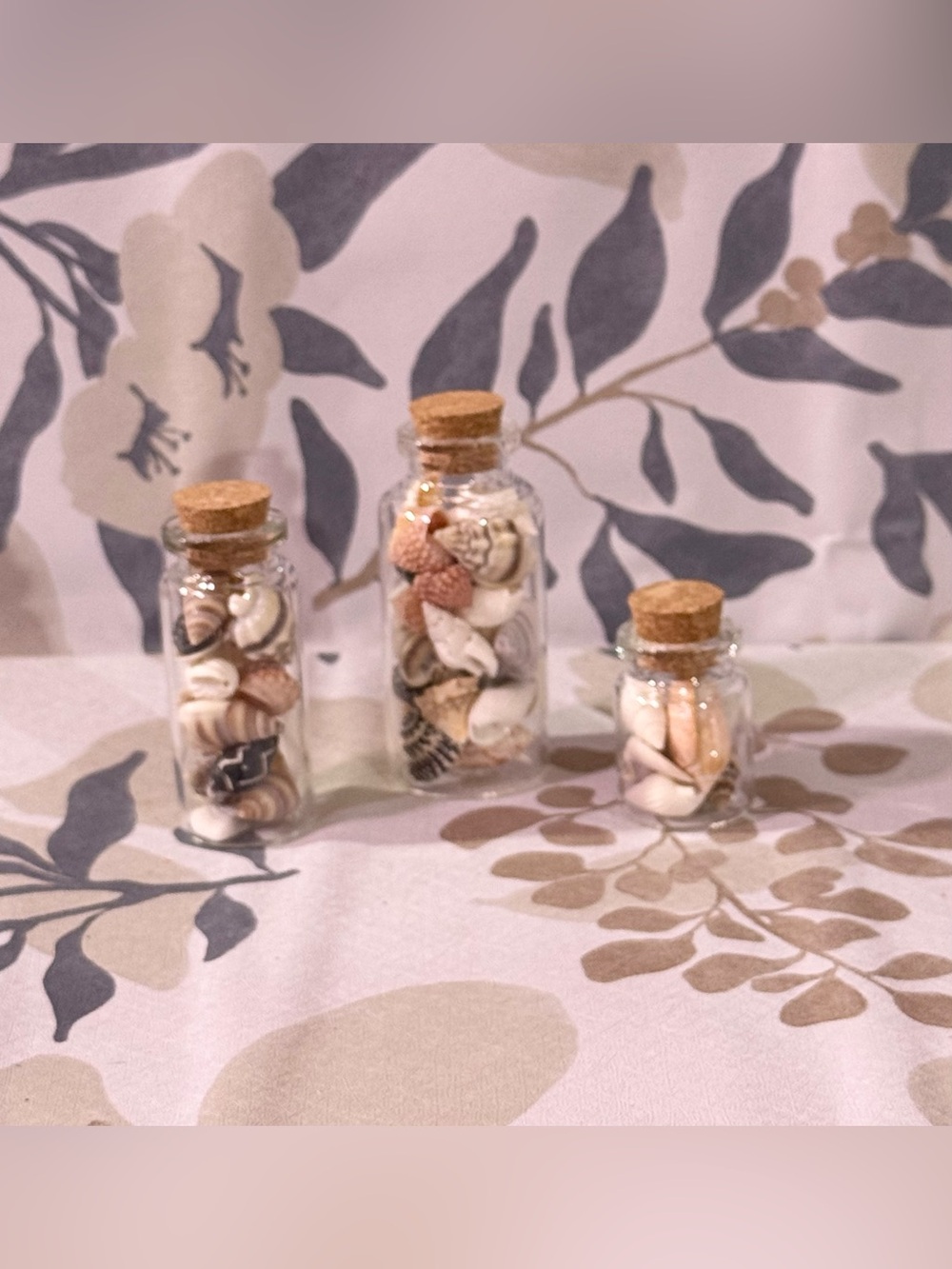 3 Decorative Mini Glass Bottles Filled with Natural Sea Shells - Neutral